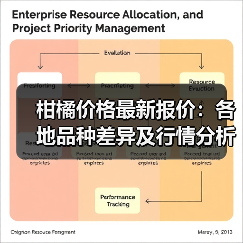 柑橘价格最新报价:各地品种差异及行情分析(图4) 柑橘价格最新报价:各地品种差异及行情分析(图4)