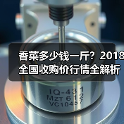 香菜多少钱一斤？2018全国收购价行情全解析（图2）