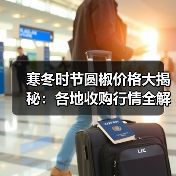 寒冬时节圆椒价格大揭秘：各地收购行情全解析