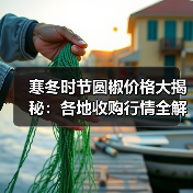 寒冬时节圆椒价格大揭秘：各地收购行情全解析（图3）