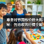 寒冬时节圆椒价格大揭秘：各地收购行情全解析（图4）