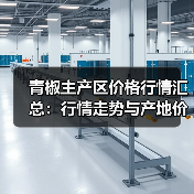 青椒主产区价格行情汇总：行情走势与产地价格解析（图4）