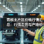 青椒主产区价格行情汇总：行情走势与产地价格解析（图2）