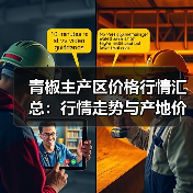 青椒主产区价格行情汇总：行情走势与产地价格解析（图3）