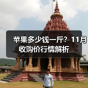 苹果多少钱一斤?11月收购价行情解析(图1) 苹果多少钱一斤?11月收购价行情解析(图1)