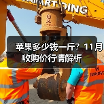 苹果多少钱一斤?11月收购价行情解析(图4) 苹果多少钱一斤?11月收购价行情解析(图4)