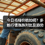 今日毛鸡价格如何?多地行情涨跌对比及趋势分析(图3) 今日毛鸡价格如何?多地行情涨跌对比及趋势分析(图3)
