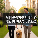 今日毛鸡价格如何?多地行情涨跌对比及趋势分析(图2) 今日毛鸡价格如何?多地行情涨跌对比及趋势分析(图2)