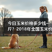 今日玉米价格多少钱一斤？2018年全国玉米价格...（图4）