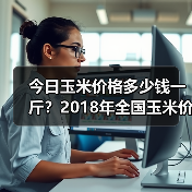 今日玉米价格多少钱一斤？2018年全国玉米价格...（图3）