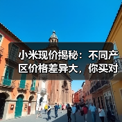 小米现价揭秘:不同产区价格差异大,你买对了吗?(图2) 小米现价揭秘:不同产区价格差异大,你买对了吗?(图2)