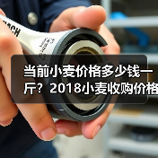 当前小麦价格多少钱一斤？2018小麦收购价格行...（图3）