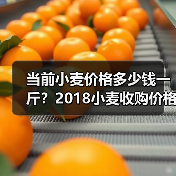 当前小麦价格多少钱一斤？2018小麦收购价格行...（图4）