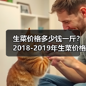 生菜价格多少钱一斤?2018-2019年生菜价格行...(图4) 生菜价格多少钱一斤?2018-2019年生菜价格行...(图4)