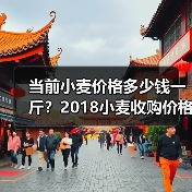当前小麦价格多少钱一斤?2018小麦收购价格行...(图4) 当前小麦价格多少钱一斤?2018小麦收购价格行...(图4)
