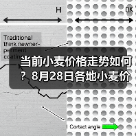 当前小麦价格走势如何？8月28日各地小麦价格...