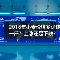 2018年小麦价格多少钱一斤？上涨还是下跌？（...（图1）