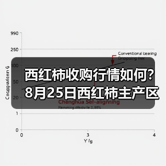 西红柿收购行情如何?8月25日西红柿主产区收...(图3) 西红柿收购行情如何?8月25日西红柿主产区收...(图3)