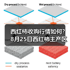 西红柿收购行情如何?8月25日西红柿主产区收...(图1) 西红柿收购行情如何?8月25日西红柿主产区收...(图1)