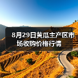 8月29日黄瓜主产区市场收购价格行情（图4）