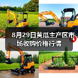 8月29日黄瓜主产区市场收购价格行情