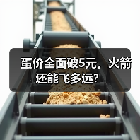 蛋价全面破5元，火箭还能飞多远？（图3）