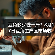 豆角多少钱一斤?8月17日豆角主产区市场收购...(图4) 豆角多少钱一斤?8月17日豆角主产区市场收购...(图4)