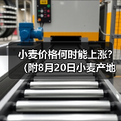 小麦价格何时能上涨?(附8月20日小麦产地价...(图1) 小麦价格何时能上涨?(附8月20日小麦产地价...(图1)