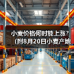 小麦价格何时能上涨?(附8月20日小麦产地价...(图2) 小麦价格何时能上涨?(附8月20日小麦产地价...(图2)