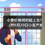 小麦价格何时能上涨?(附8月20日小麦产地价...(图4) 小麦价格何时能上涨?(附8月20日小麦产地价...(图4)