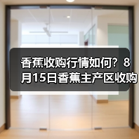 香蕉收购行情如何？8月15日香蕉主产区收购行...