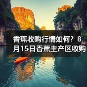 香蕉收购行情如何？8月15日香蕉主产区收购行...（图2）