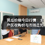 黄瓜价格今日行情:主产区收购价与市场走势分析(图3) 黄瓜价格今日行情:主产区收购价与市场走势分析(图3)