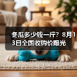 冬瓜多少钱一斤？8月13日全国收购价曝光（图4）