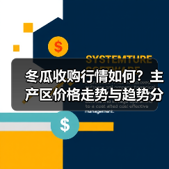 冬瓜收购行情如何？主产区价格走势与趋势分析