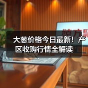 大葱价格今日最新！产区收购行情全解读