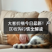 大葱价格今日最新！产区收购行情全解读（图2）