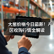 大葱价格今日最新！产区收购行情全解读（图3）