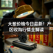大葱价格今日最新！产区收购行情全解读（图4）