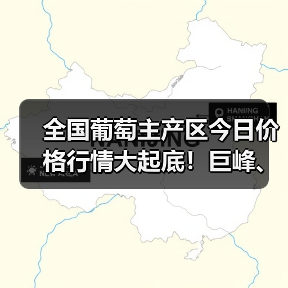 全国葡萄主产区今日价格行情大起底！巨峰、红提、克伦生最新收购