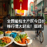 全国葡萄主产区今日价格行情大起底！巨峰、红提、克伦生最新收购价曝光（图3）