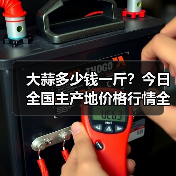 大蒜多少钱一斤？今日全国主产地价格行情全解析
