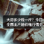 大蒜多少钱一斤？今日全国主产地价格行情全解析（图4）