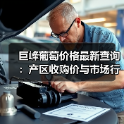 巨峰葡萄价格最新查询：产区收购价与市场行情（图4）