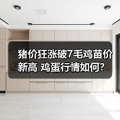 猪价狂涨破7毛鸡苗价新高 鸡蛋行情如何？（图1）