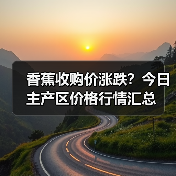 香蕉收购价涨跌？今日主产区价格行情汇总（图2）