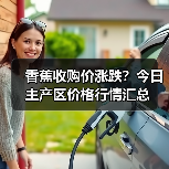 香蕉收购价涨跌？今日主产区价格行情汇总（图4）