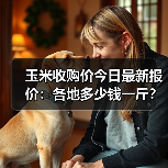 玉米收购价今日最新报价:各地多少钱一斤?(图1) 玉米收购价今日最新报价:各地多少钱一斤?(图1)