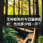 玉米收购价今日最新报价:各地多少钱一斤?(图3) 玉米收购价今日最新报价:各地多少钱一斤?(图3)
