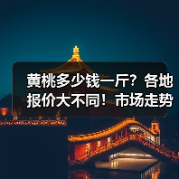 黄桃多少钱一斤？各地报价大不同！市场走势如何？（图2）